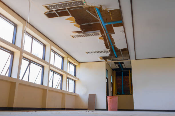Best Ceiling water damage repair  in Strathmore, NJ