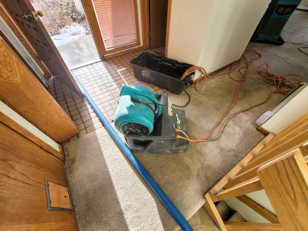 Best Water damage restoration mold remediation  in Strathmore, NJ