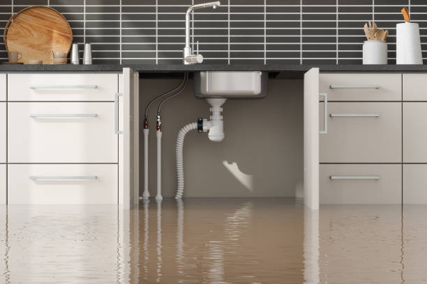 Best Residential water damage restoration  in Strathmore, NJ