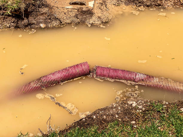  Strathmore, NJ Water damage restoration Pros